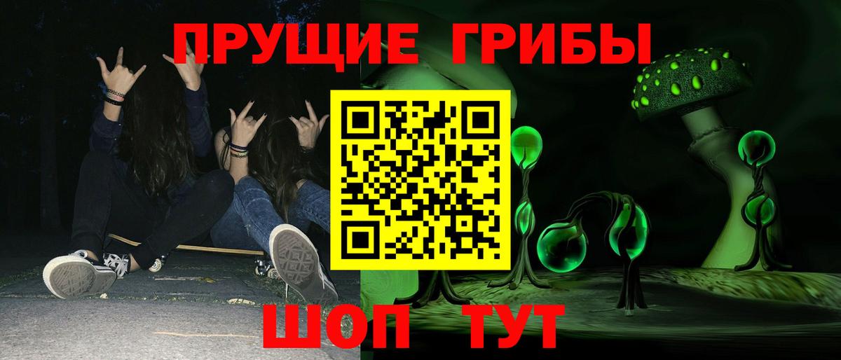 Сосновоборск  Псилоцибиновые грибы GOLDEN TEACHER  Вход с VPN 